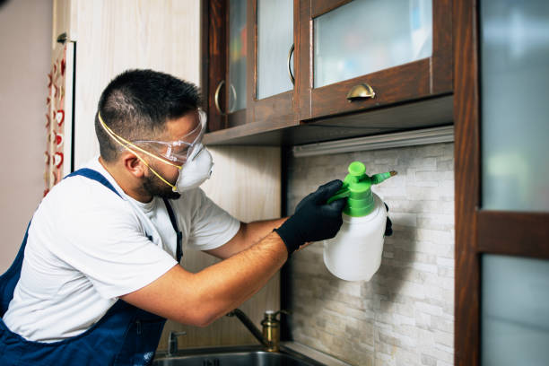 Best Pest Control Near Me in Columbia City, OR