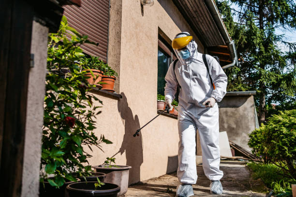 Professional Pest Control in Columbia City, OR