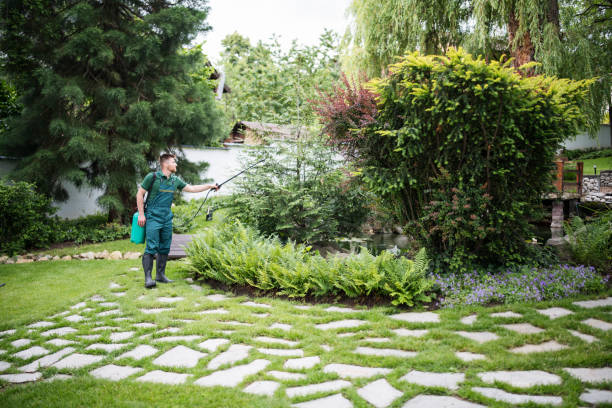 Best Spider Control Near Me  in Columbia City, OR