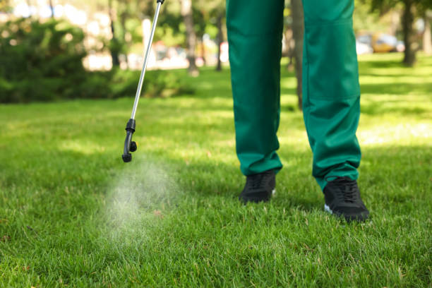 Best Emergency Pest Control  in Columbia City, OR