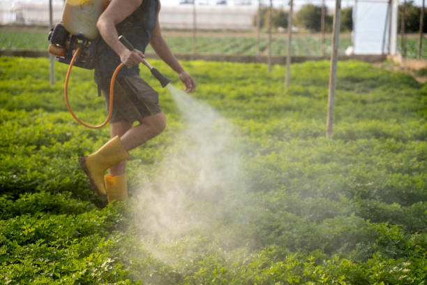 Best Pest Prevention Services  in Columbia City, OR