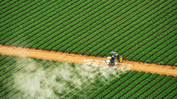 Best Termite Control Services  in Columbia City, OR