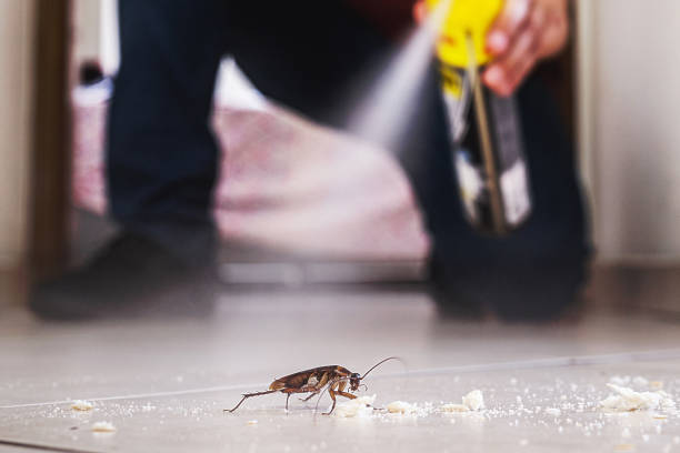 Best Ant Control Services  in Columbia City, OR