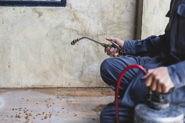 Professional Pest Control in Columbia City, OR