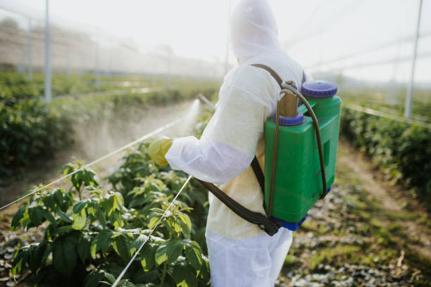 Best Local Pest Control Services  in Columbia City, OR